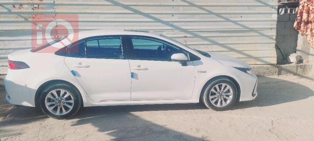 تويوتا كورولا